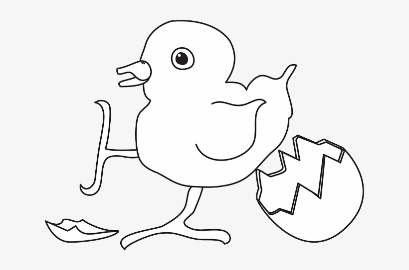 Newborn Graphic Black And White, transparent png download