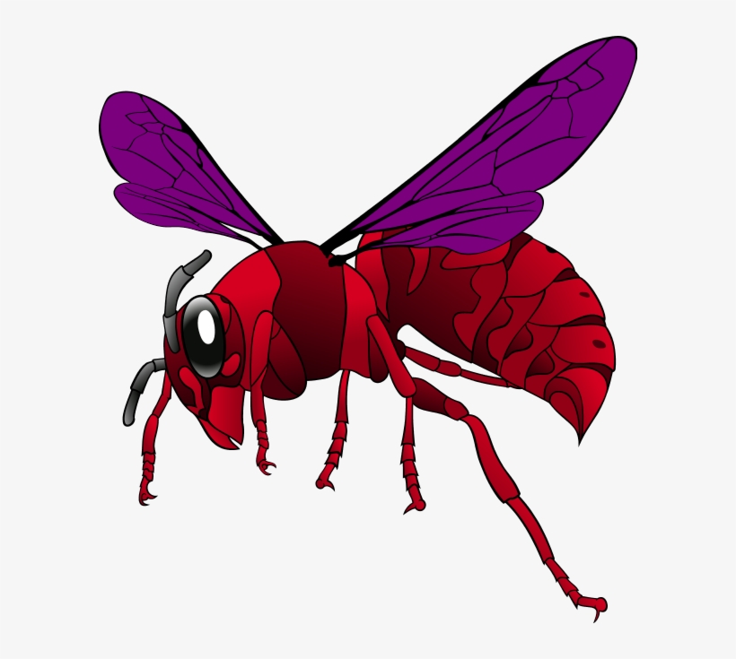 Hornet Clipart Red - Hornet Clipart, transparent png download