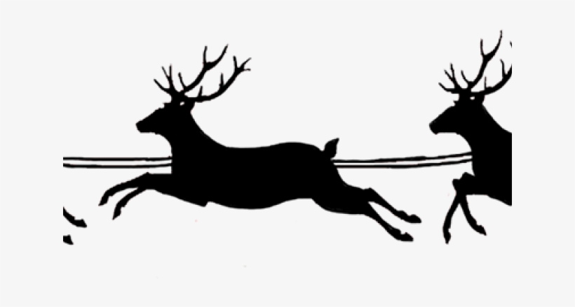 Reindeer, transparent png download