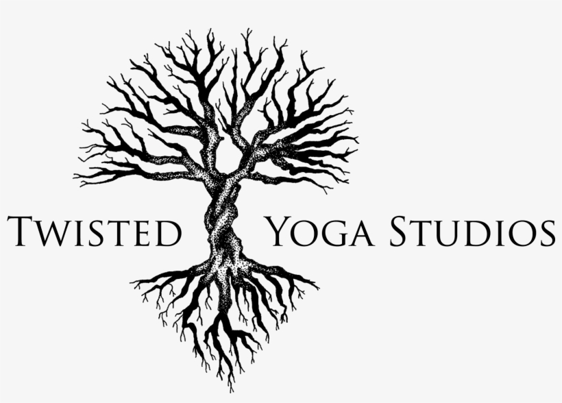 Home Of Twisted Aerial Yoga - Twisted Tree Logo, transparent png download