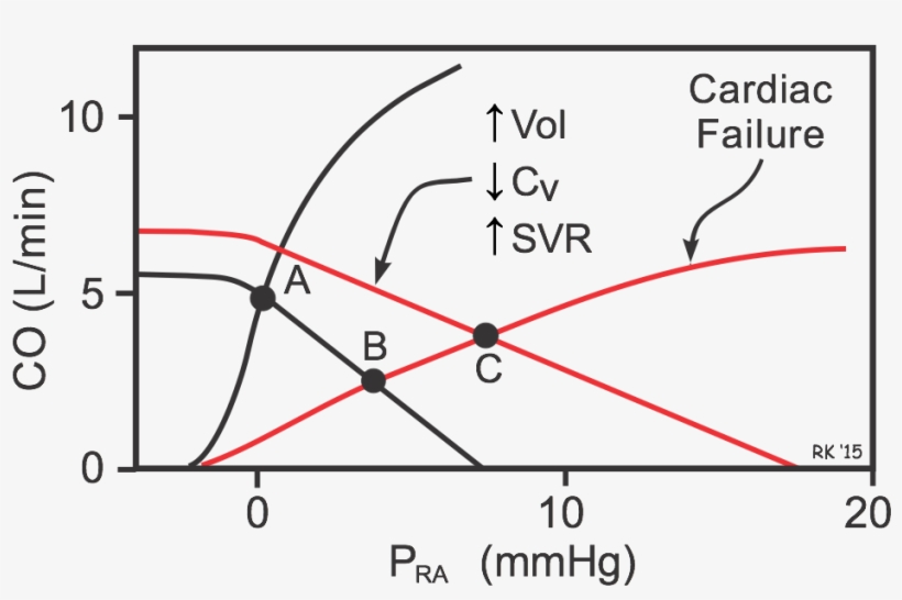 Cardiac And Systemic Vascular Function Curves - Heart Failure Cardiac Function Curve, transparent png download