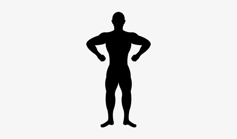 Gymnast Silhouette Vector - Body Silhouette Png, transparent png download