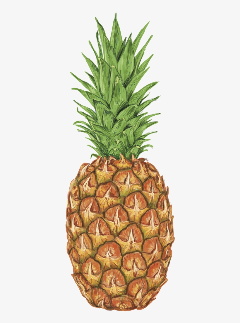 Vinilo Comida Piña Acuarela - Pineapple Tote Bag | Gifts For Grandma ...