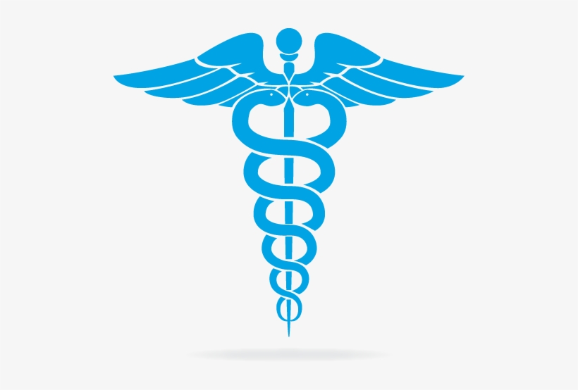 Air Bubble Detectors Are The Devices Used To Detect - Snake Medicine Logo, transparent png download