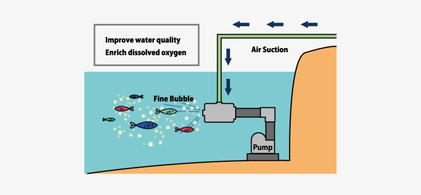 If You Supply Oxygen,ozon Or Nitrogen Gas Instead Of - Diagram, transparent png download