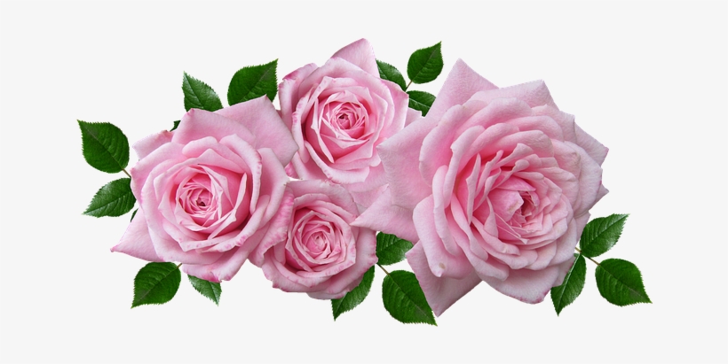Pink Flower Arrangement Png, transparent png download