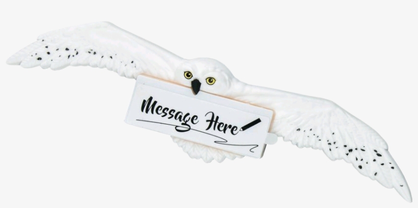 Harry Potter - Hedwig Magnet - Harry Potter Hedwig Magnet, transparent png download