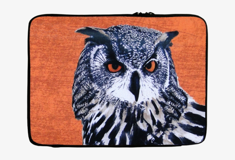 Owl, transparent png download