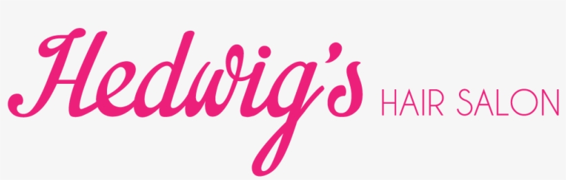 Women Right Human Right, transparent png download