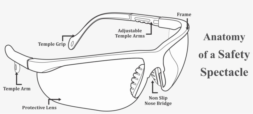Regardless Of Their Size Or The Durability Of The Frame - Illustration, transparent png download