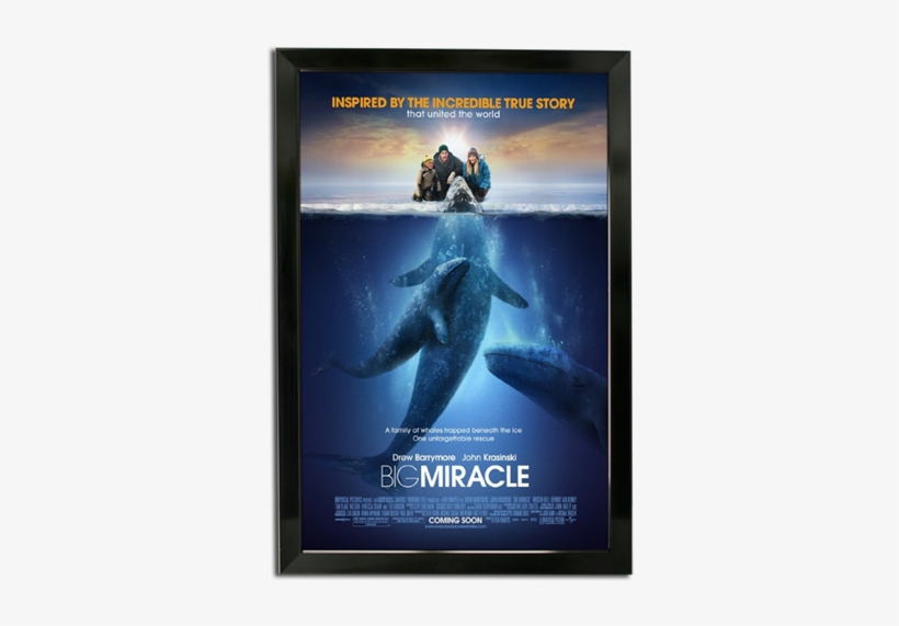 Bass Loc Poster Frame - Big Miracle, transparent png download