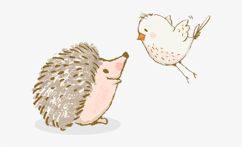 Baby Draven-first Glimpse - Tina Chandler Photography, transparent png download