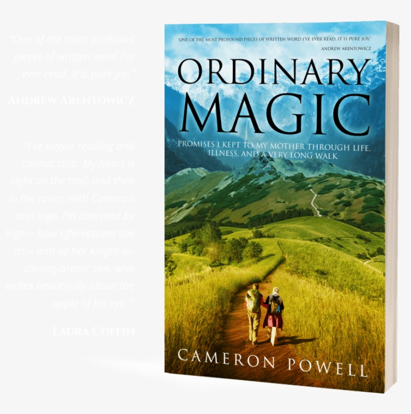 A Terrifying Diagnosis - Ordinary Magic, transparent png download