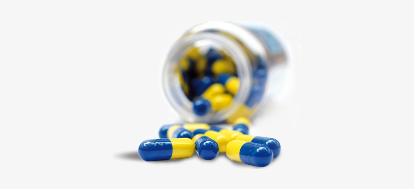 Gmp Handbook: A Guide To Quality, transparent png download