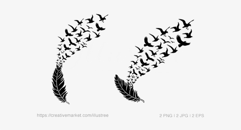 Bird Feather Transparent Background Arts Png Background - Feather With Flying Birds, transparent png download
