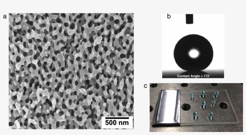 Scanning Electron Microscopy Image Of A Fully Processed - Borosilicate Glass Under A Microscope, transparent png download