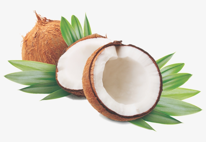 Coconut Oil Is Growing In Popularity As A Product That - Coconut Png, transparent png download