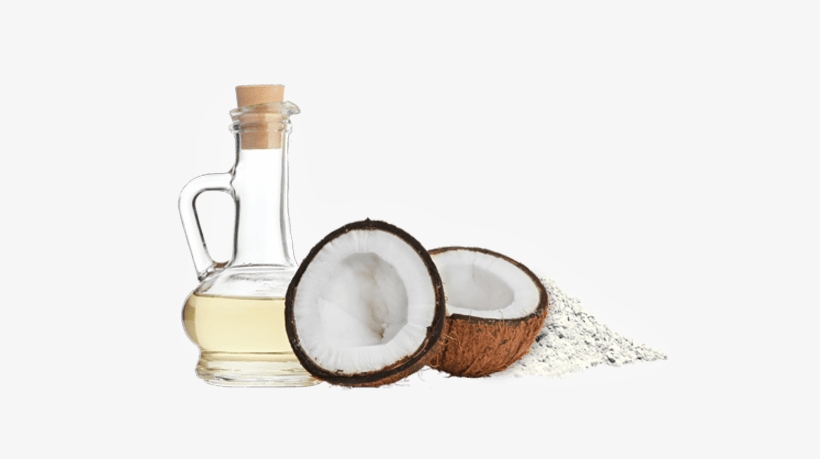 Coconut Oil Powder - Molivera Organics Fractionated Coconut Oil 16 Oz. Premium, transparent png download
