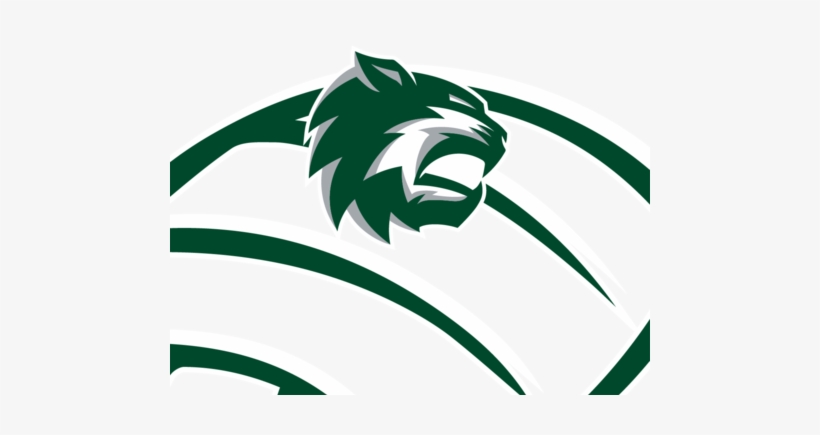 De Soto Volleyball - Desoto Wildcats, transparent png download