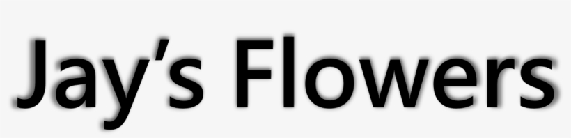 Daynurseries Co Uk Logo, transparent png download