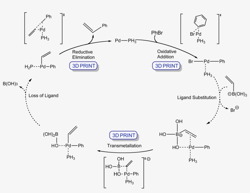 Suzuki Cycle - Suzuki Reaction Mechanism, transparent png download