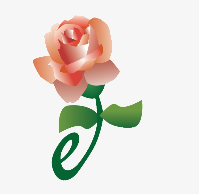 Is Mass Marketing Dead Does One To One Marketing Rule - Garden Roses, transparent png download