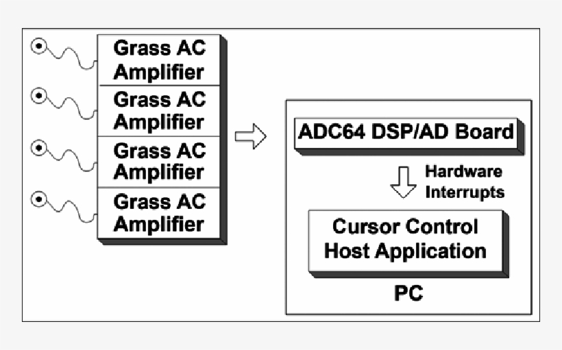 Block Diagram Of Hardware Components Of Electromyogram - Computer Hardware, transparent png download