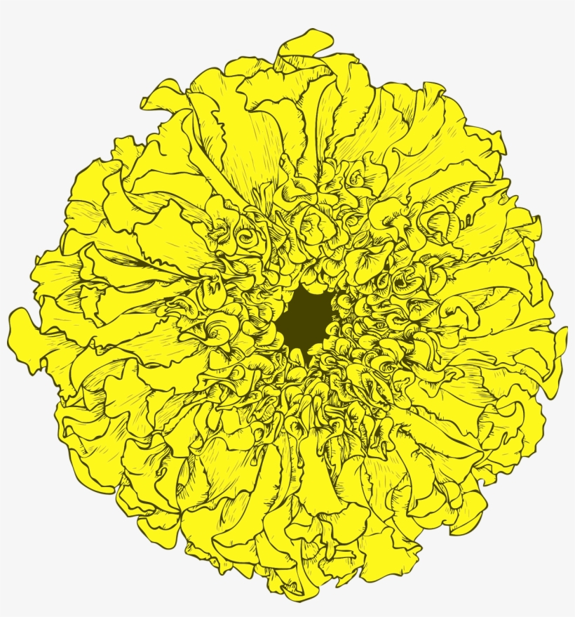 Of The Dead,decoration - ดอก ดาวเรือง Png, transparent png download