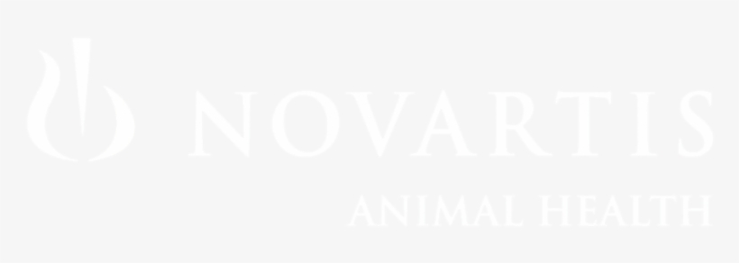 Novartis Foundation Logo, transparent png download
