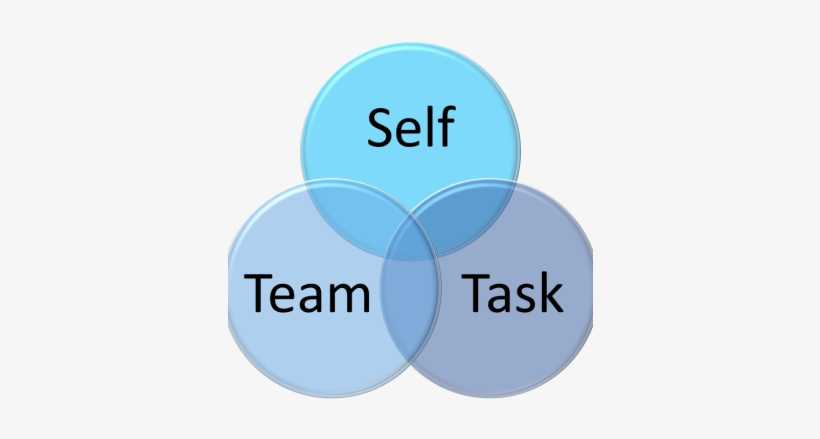 Question And Answers - Exam, transparent png download