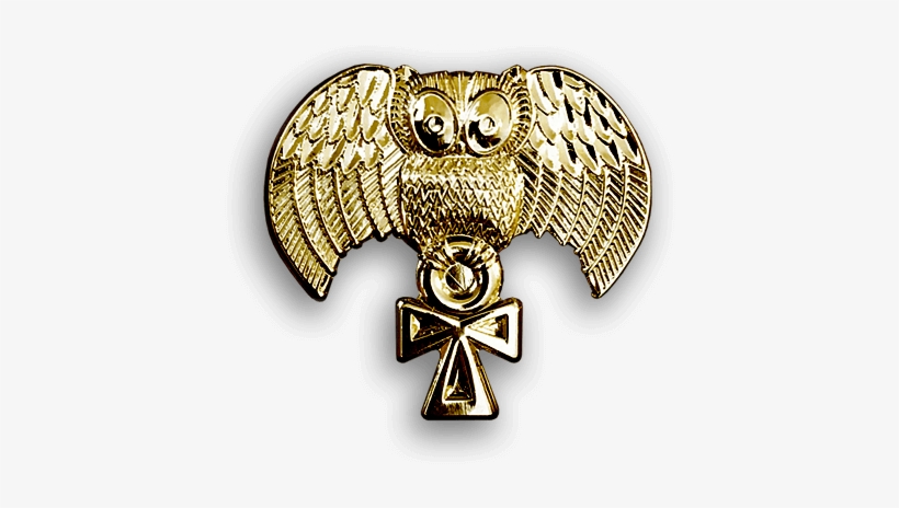 Popular Images - Indian Elephant, transparent png download