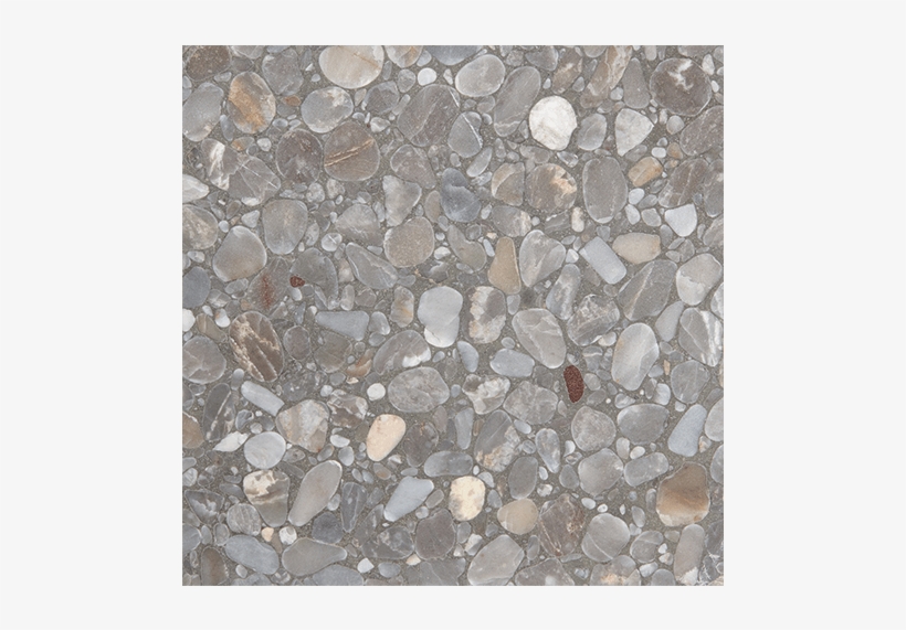 Coin, transparent png download