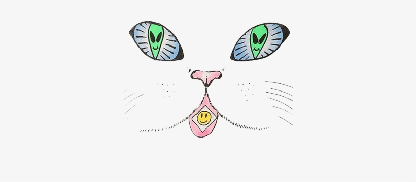 Tumblr Njit8ljnhs1u37tafo1 400 - Cat, transparent png download