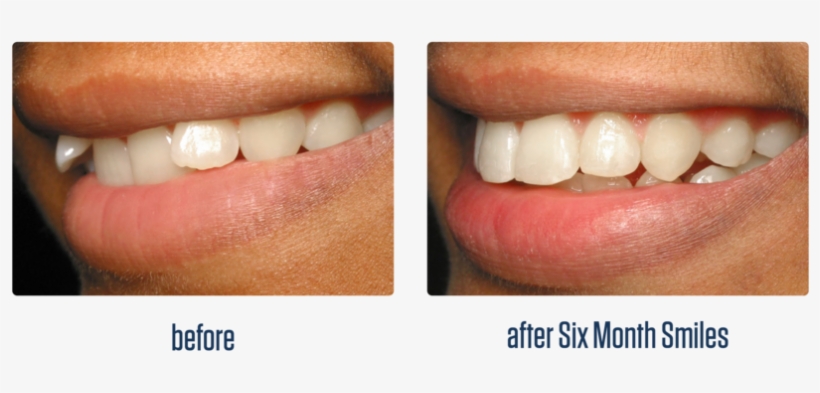 Gallery-09 - Dentistry, transparent png download