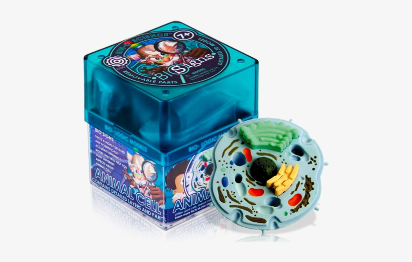 Animal Cell - Iken Joy Red Blood Cell, transparent png download