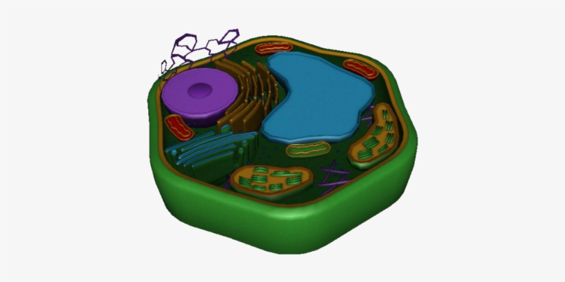 Search Lessons By Keyword - Cell, transparent png download