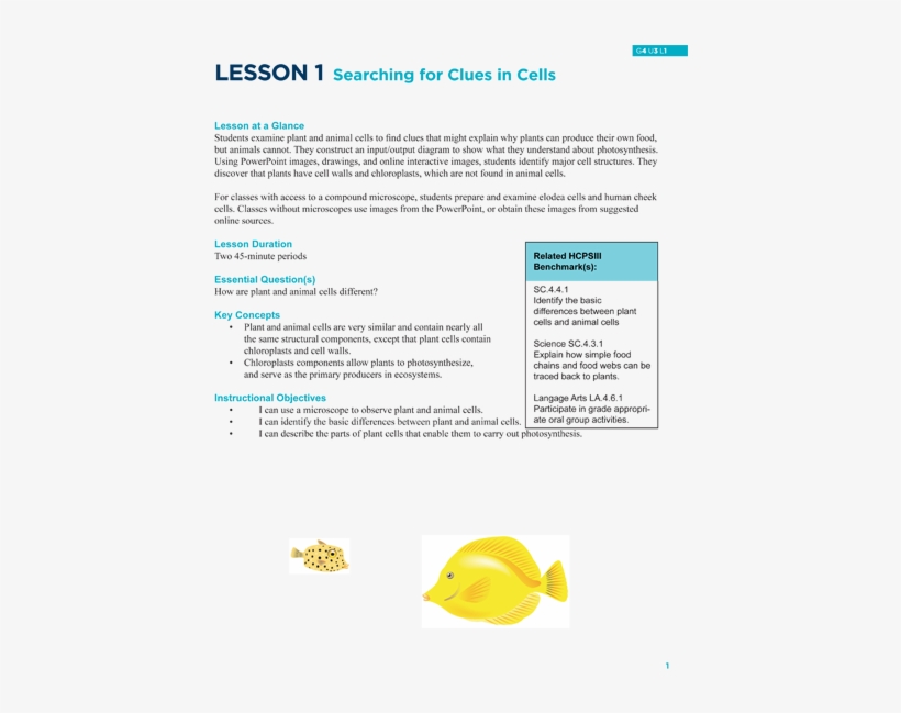 Searching For Clues In Cells - New York University School Of Law, transparent png download