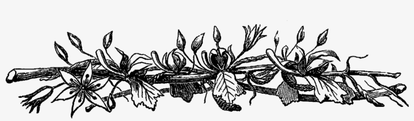 Garlic Bread Black And White Clip Art - Transparent Borders Flower Black And White, transparent png download