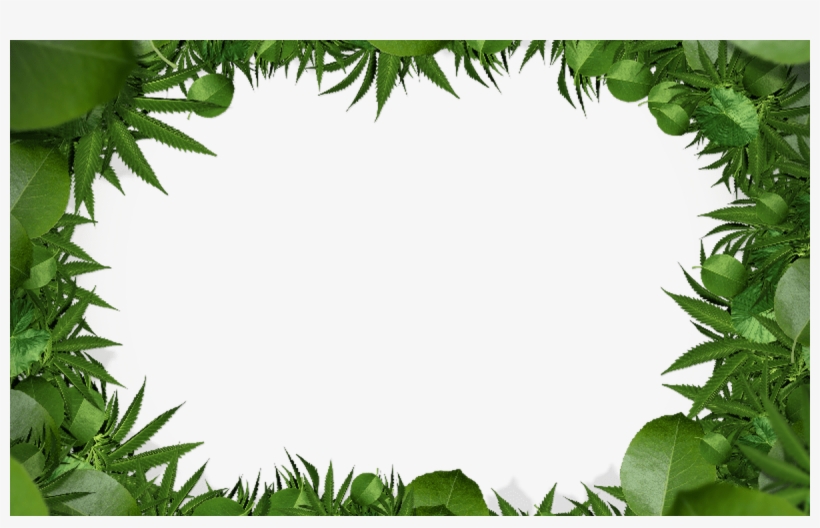 Nature Green Leaf Border Png Clipart Free Download - Fepam Maconha, transparent png download
