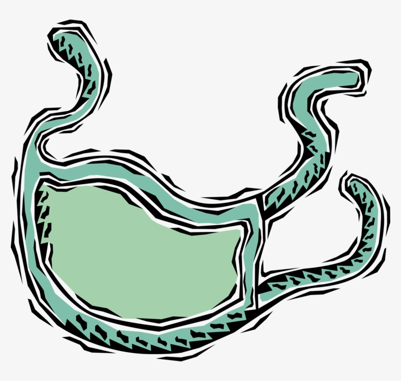 Vector Illustration Of Health Care Professional Doctor, transparent png download