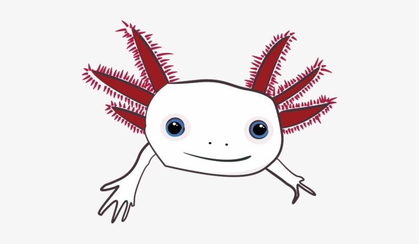 Axolotl Ent -, transparent png download