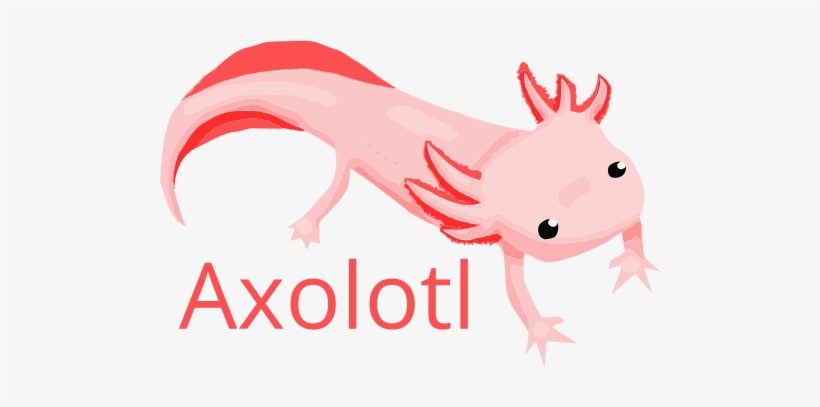 Axolotl Clipart, transparent png download