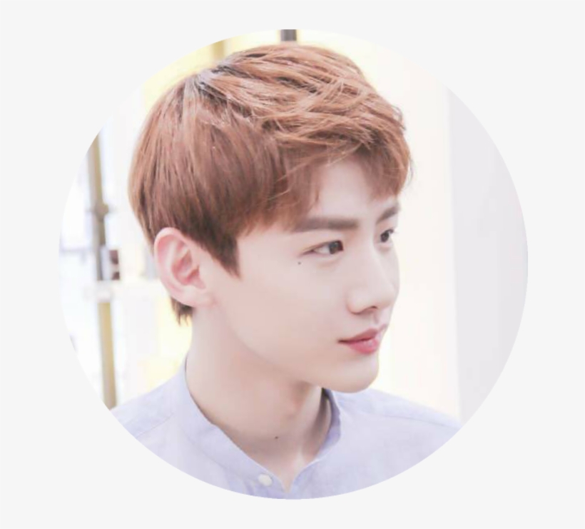 Boy, transparent png download