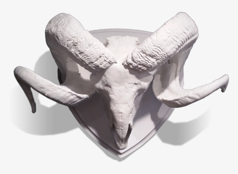 Gold Leaf Design Group Resin Ram Skull With Horns On - Skull, transparent png download