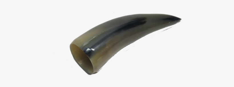 Viking Horn Shot Glass - Fender, transparent png download