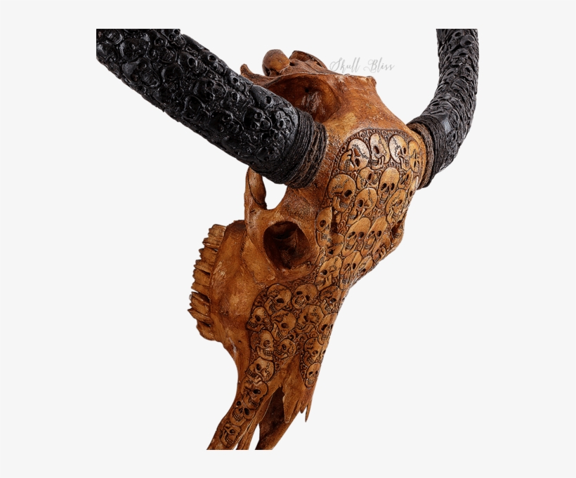 Carved Buffalo Skull // Carved Horns - Antique, transparent png download