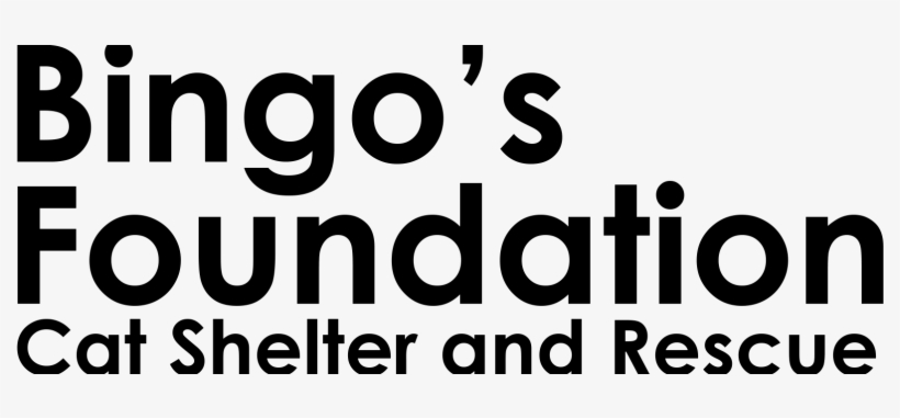 Bingo's Foundation - Mental Health Foundation Nz, transparent png download
