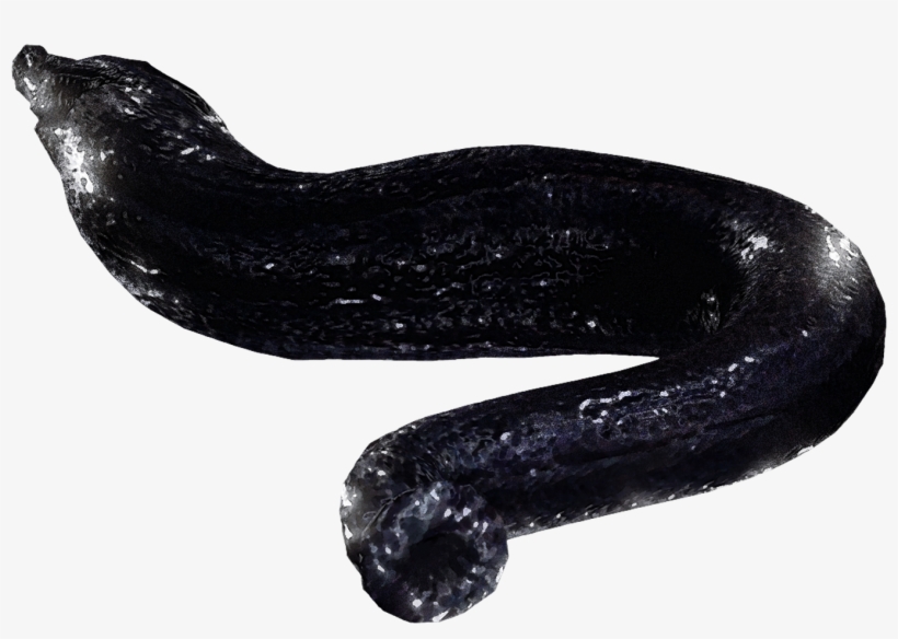 File History - Little Nightmares Shoe Monster, transparent png download