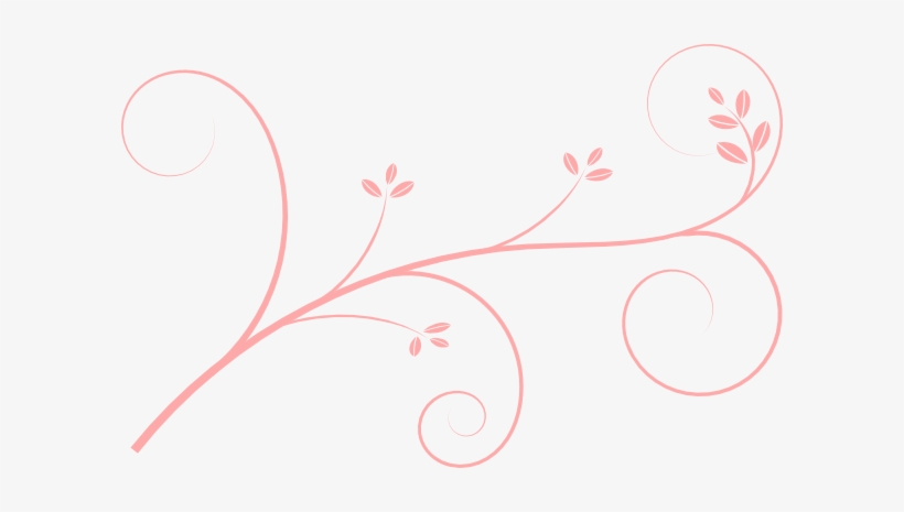 How To Set Use Paisley Clipart - Sister Clare Of Assisi, transparent png download