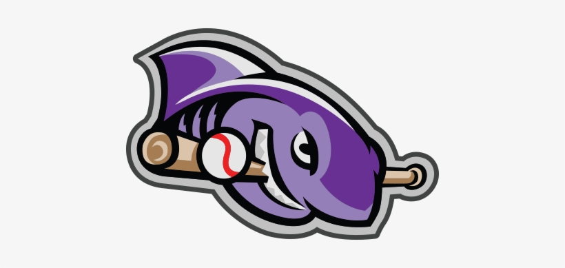 Shark - Martha's Vineyard Sharks, transparent png download